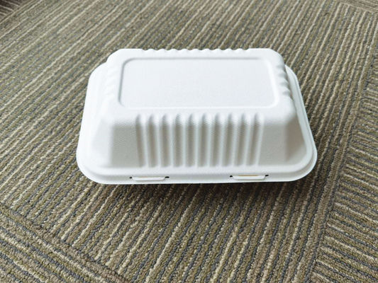 9×6 Inch Biodegradable To Go Food Containers