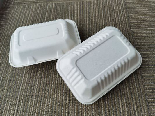 9×6 Inch Biodegradable To Go Food Containers