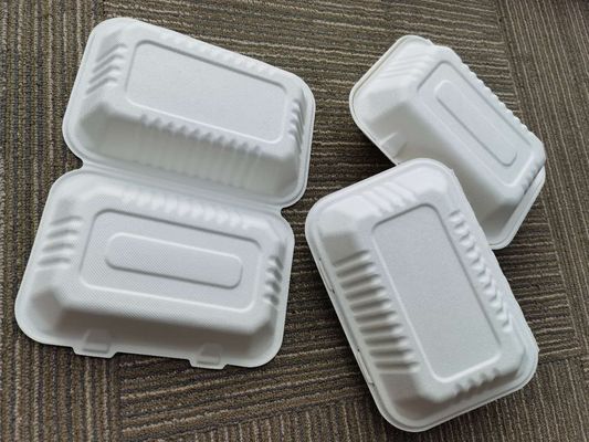 9×6 Inch Biodegradable To Go Food Containers