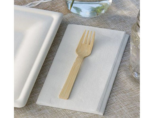 Biodegradable 170mm Bamboo Disposable Cutlery Set