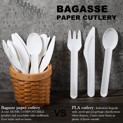 Disposable Biodegradable Sugarcane Bagasse Cutlery