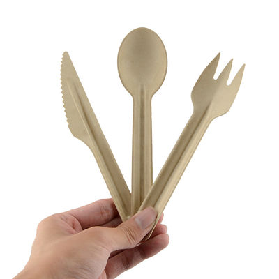 Compostable Disposable Bagasse Serving Spoons Cutlery